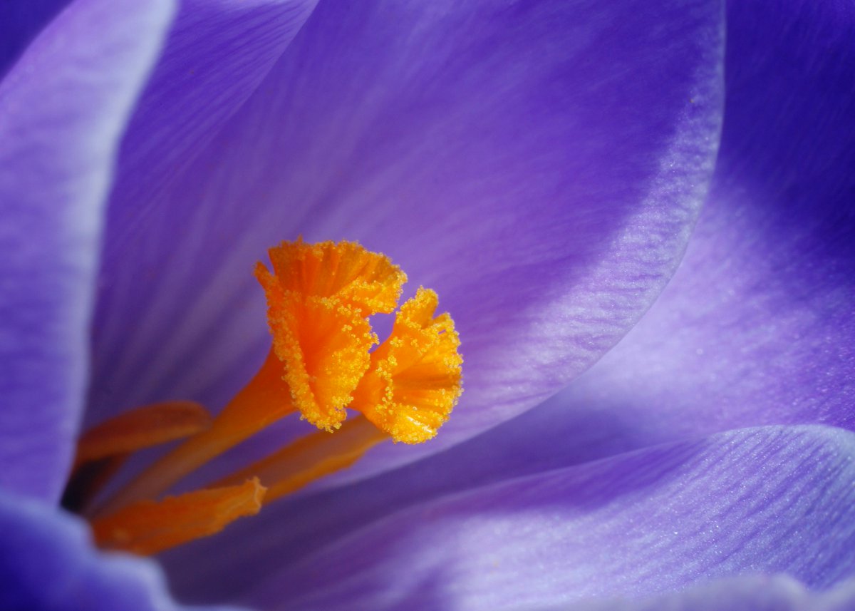 vinlandwisdom's tweet photo. “Each person comes into this world with a specific destiny - he or she has something to fulfill, some message that has to be delivered, some work that has to be completed. You are not here accidentally - you are here meaningfully. There is a purpose behind you. The whole intends to do something through you.”

~ Osho