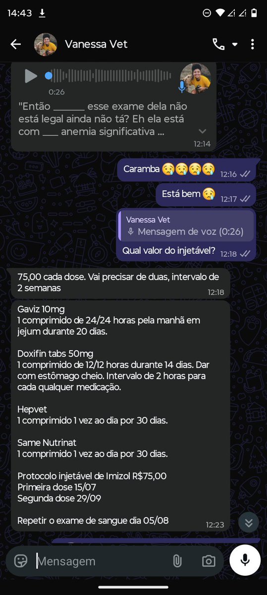 thaiannax's tweet photo. Oi gente, essa é a cacau, minha cachorrinha especial. Pra quem não conhece a história dela, ela passou por uma cirurgia e após isso foi diagnosticada com erlichia e desde então tem estado muito debilitada. Ela também sofre com Eplepsia,tendo convulsões frequentes. Ela faz uso de remédio controlado e está refazendo o tratamento da doença do carrapato,pois no primeiro tratamento não teve sucesso e segue doente como mostram os exames. Para tomar uma das medicações,ela precisa estar sempre de estômago cheio, o que está sendo complicado pois ela está se recusando a comer sozinha. Estamos fazendo uso de recovery,mas cada lata custa 34,90. Ela usa de 2 a 3 por dia de forma forçada (seringa) e os remédios dela também são um pouco salgados de preço. Bom, quem puder contribuir com qualquer valor seja 1, 5 reais ou o que puder eu serei grata. Também temos nossa rifa e ainda temos bastante números disponíveis,cada número 15$. A história completa da cacau, exames e tudo mais está no perfil  🥺❤️ quem puder ajudá-la, serei eternamente grata. Ultimamente se tivemos 3 ajudas foi muito 😔 além dela, ainda tenho mais 4 cãezinhos e uma delas que é a mãe da cacau com tumores na mama, com essa situação da cacau está sendo muito dificil.. bom quem puder ajudar, Deus abencoe.. 
Pix CPF 149.983.397-02