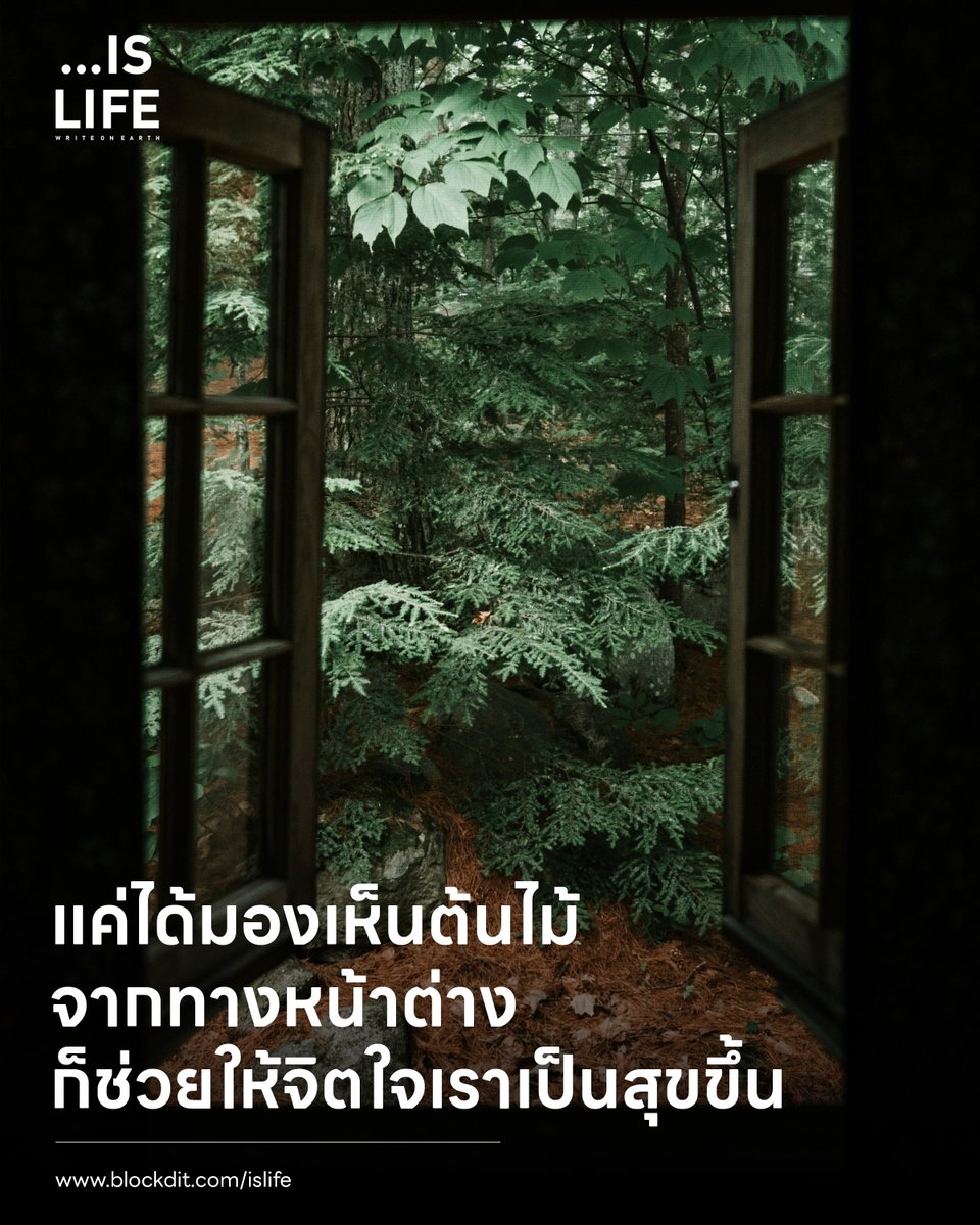 IsLife_Write tweet picture