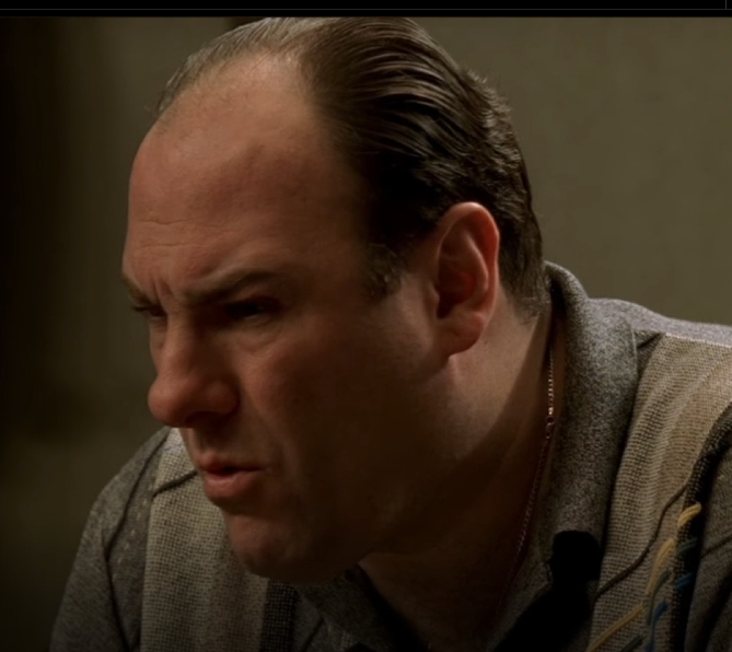 Larradonna's tweet photo. My favorite moment in the ENTIRE SERIES OF THE SOPRANOS is during Chrissy's intervention. The split second where you see Tony processing and reacting to learning that Chrissy accidentally killed Cosette. The look on his face is gold. Around 8 seconds in to this vid. https://t.co/t5ae74aG7O