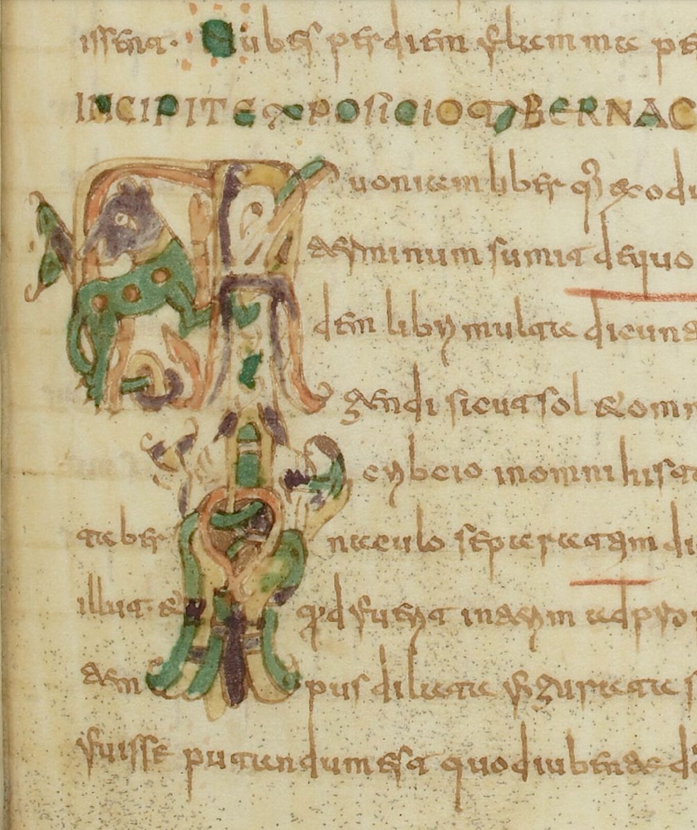 red_loeb's tweet photo. Quite an initial 'q'(uoniam) 

BnF MS Latin 12168; Augustinus Hipponensis, Quaestiones et locutiones in Heptateuchum, livres I-IV; 8th century (750-770?); North of France (Laon?); f.86r @GallicaBnF https://t.co/sTYqA12zs2
