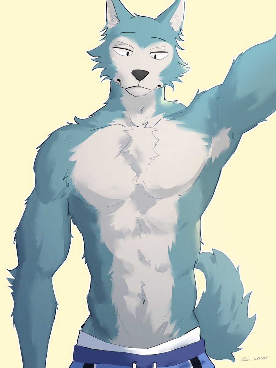 ZC_color's tweet photo. Why is Legoshi so perfect https://t.co/OGlinBaS2K