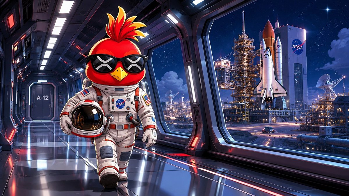 phnix_xrp's tweet photo. Mission status: On course.

$PHNIX 🐦‍🔥 https://t.co/lHdIIlLvJB