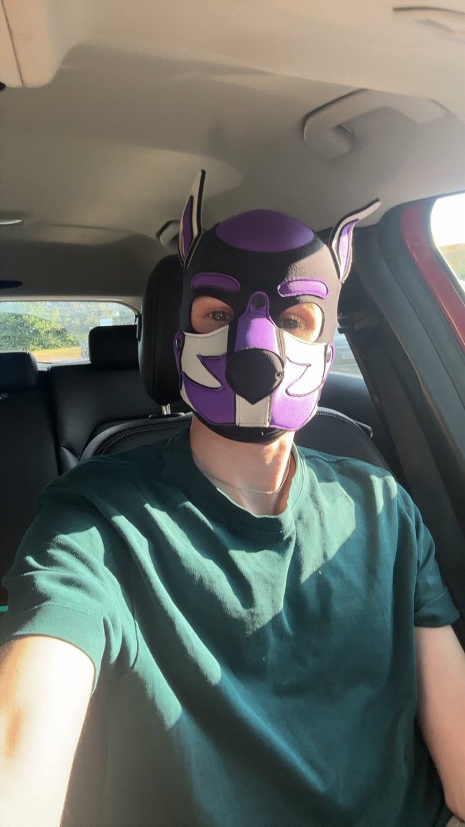 pupceejay's tweet photo. Who let this puppy behind the wheel? https://t.co/vhaijYjcKY