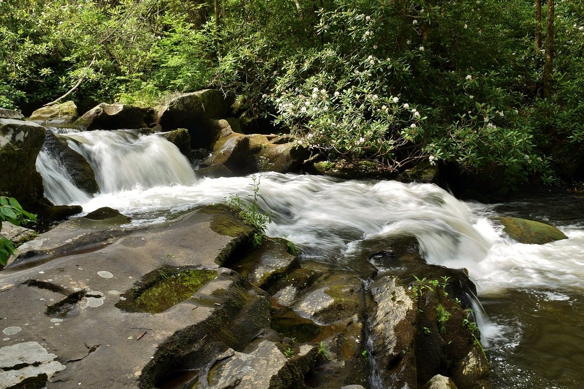 Waterfall_Hero's tweet photo. Found this little 12-foot waterfall about a quarter-mile before the end of Bald River Trail. Stopped for lunch with Amaroq and scrambled around on the rocks for a few photos. Quiet, scenic, and one of those unexpected highlights that make wilderness hikes special  #BaldRiverGorge https://t.co/5nJ8UDRtw5