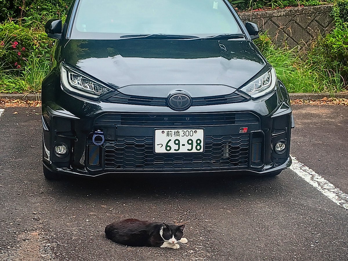 EisanTypeR's tweet photo. 猫🐈️ちゃん寝てた
なんて愛らしいツーショットなんだ🥺 https://t.co/3FJpHaTk9n