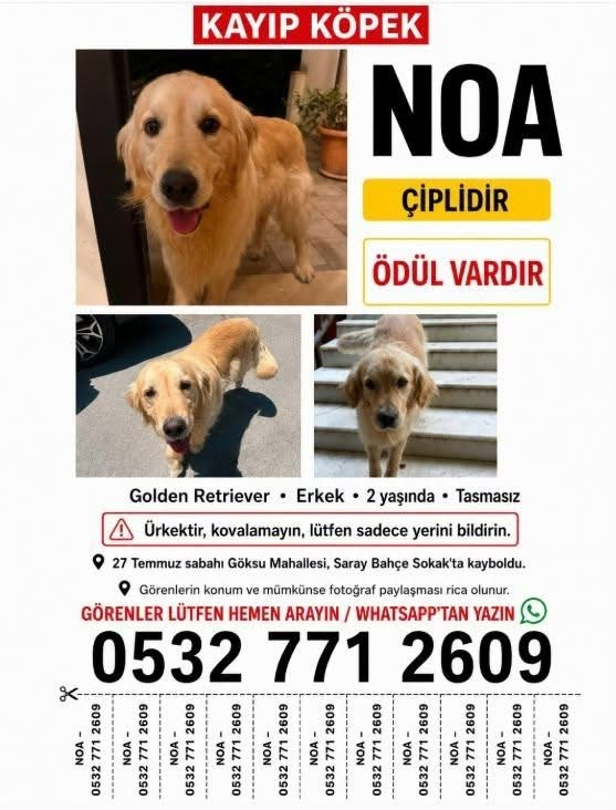 zllktlr's tweet photo. "KAYIP !!! İSTANBUL / BEYKOZ GÖKSU MAH. NOA OĞLUMUZ ARANIYOR ... BULAN KİŞİ ÖDÜLLENDİRİLECEKTİR
0532 771 26 09 https://t.co/Nh6j1EDYlR https://t.co/0YMPDCm17z
