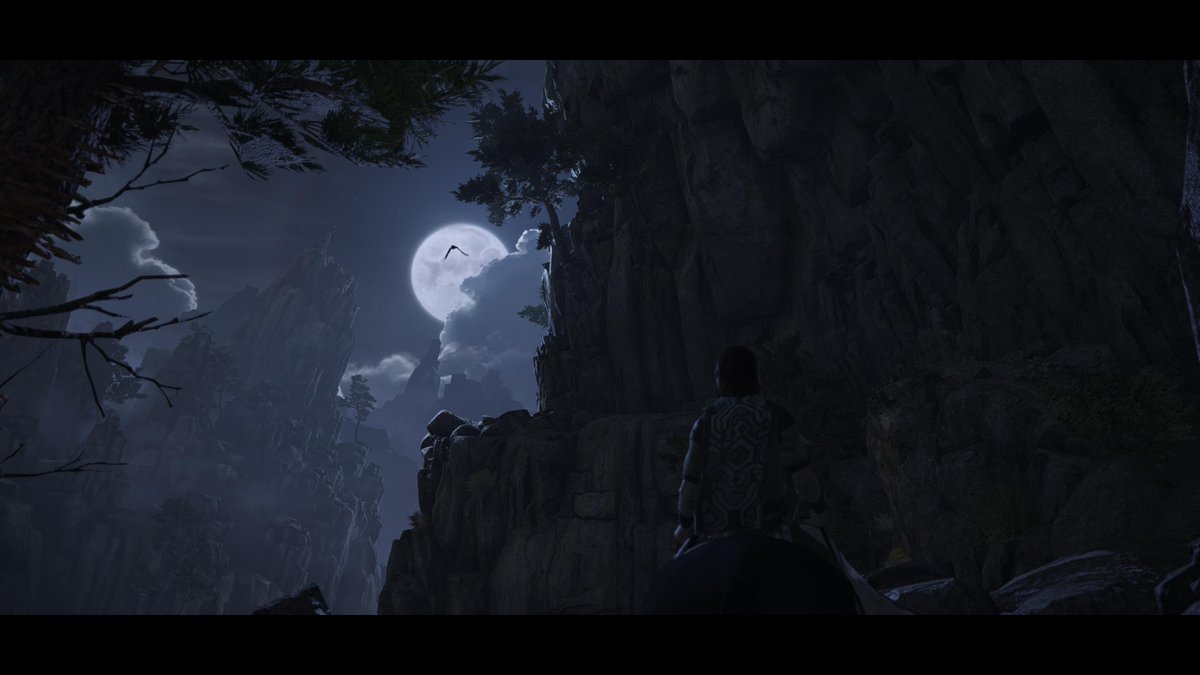 luscientia's tweet photo. np
#PS5Share, #ShadowoftheColossus https://t.co/FgrUv2cON8