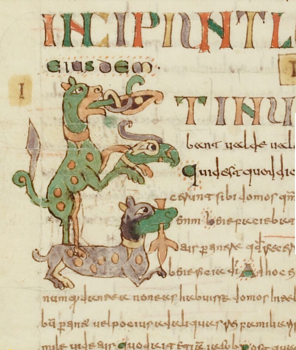 red_loeb's tweet photo. Dog and bird's head initial 'E'(t)

BnF MS Latin 12168; Augustinus Hipponensis, Quaestiones et locutiones in Heptateuchum, livres I-IV; 8th century (750-770?); North of France (Laon?); f.97v @GallicaBnF https://t.co/jCla3jINYH