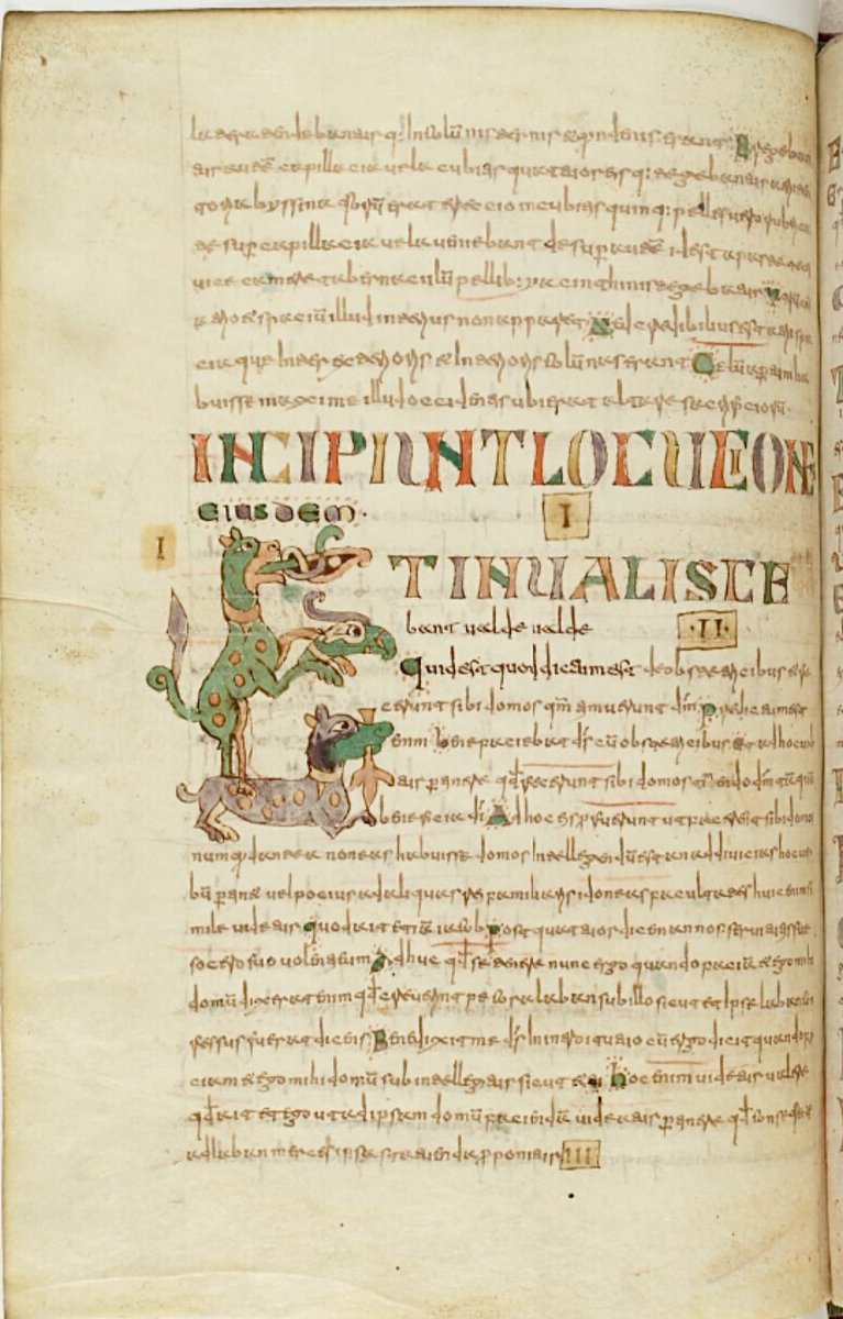 red_loeb's tweet photo. Dog and bird's head initial 'E'(t)

BnF MS Latin 12168; Augustinus Hipponensis, Quaestiones et locutiones in Heptateuchum, livres I-IV; 8th century (750-770?); North of France (Laon?); f.97v @GallicaBnF https://t.co/jCla3jINYH