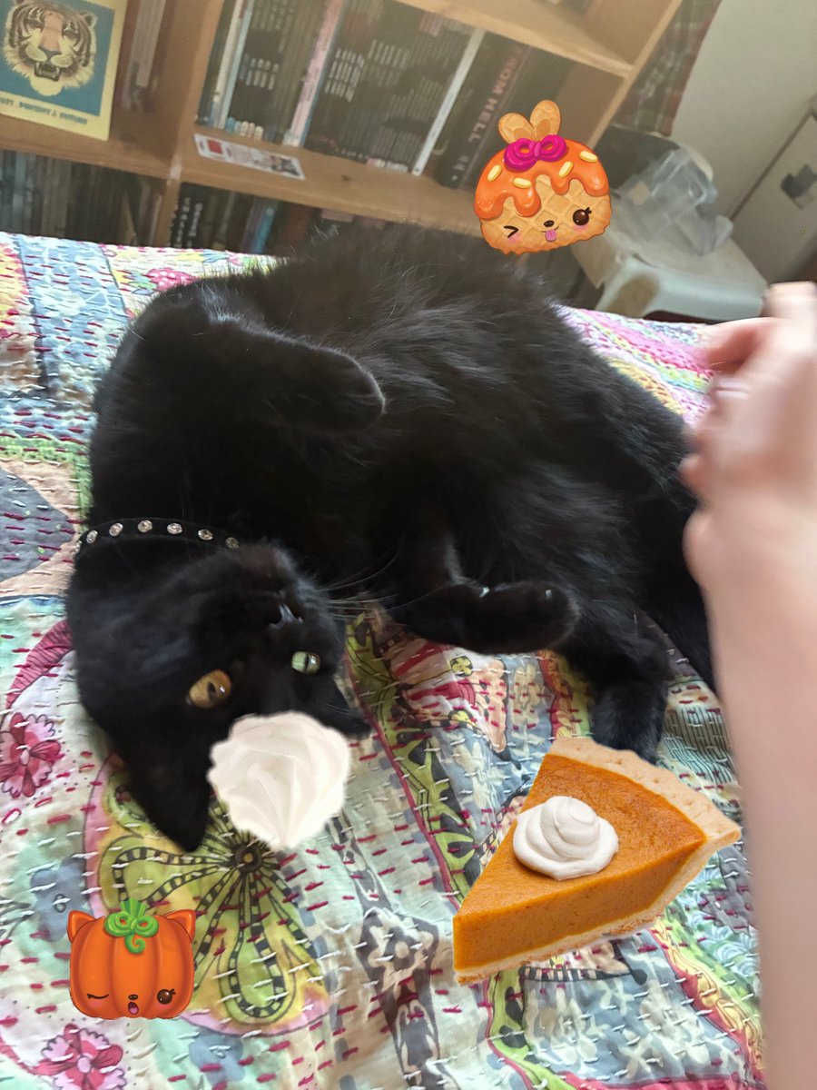 stffymaccrn's tweet photo. 🎃🎃🎃 https://t.co/NGI3z8PD0i