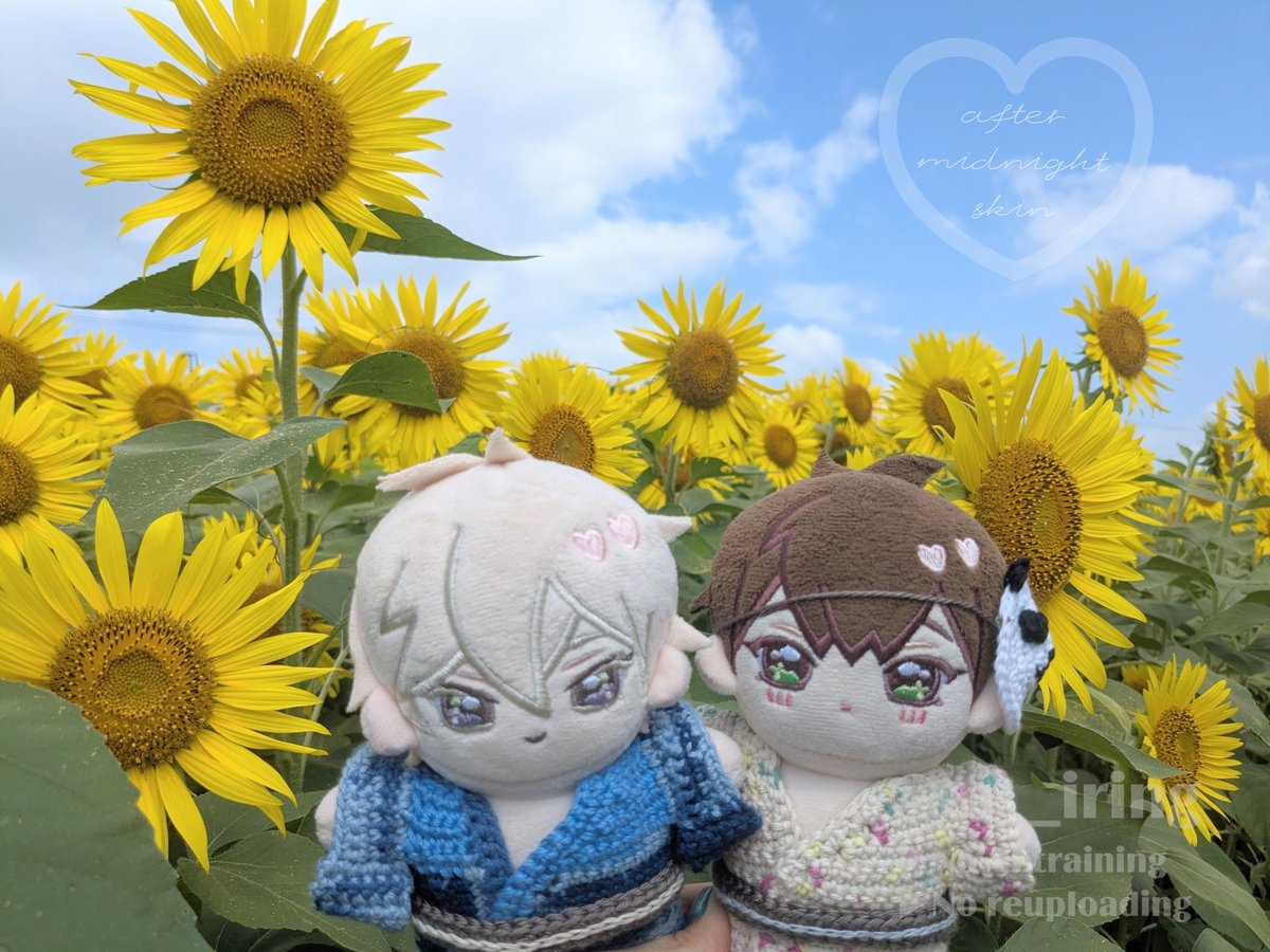 m__iring's tweet photo. 🌻𝟖月🌻
𝟖巻のお知らせで幸せな幕開け🦏🐯🗼

#アフター・ミッドナイト・スキン
#アフミス

できるところでは予約も完了💮
きっと今週もKOBEデートしているさいとらに思いを馳せながら
8巻発売に向けて読み返したりKOBEグルメリサーチしてみたり
楽しくワクワク膨らませたい⚓️💗 https://t.co/fKwgBt9JrH