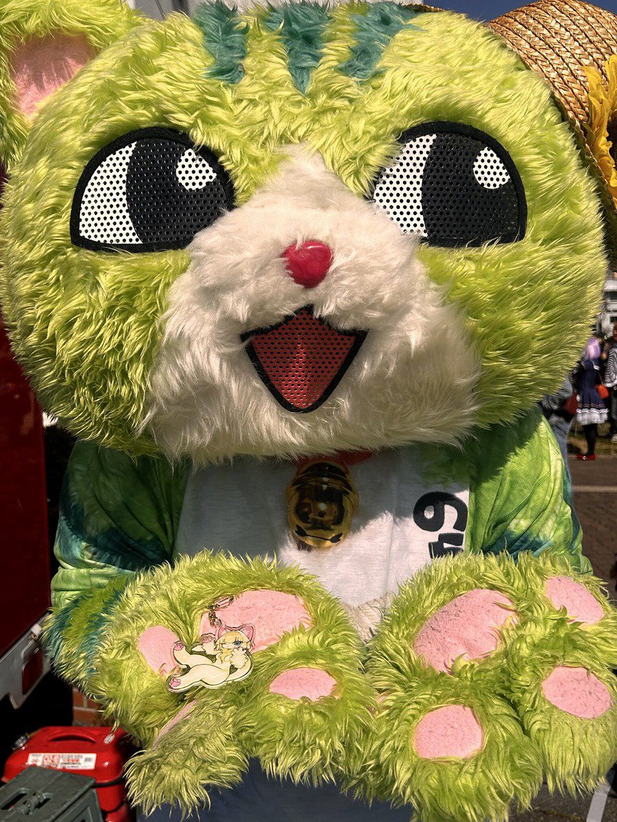 noraneko_pj's tweet photo. おはのらー https://t.co/3QLwb99SJk