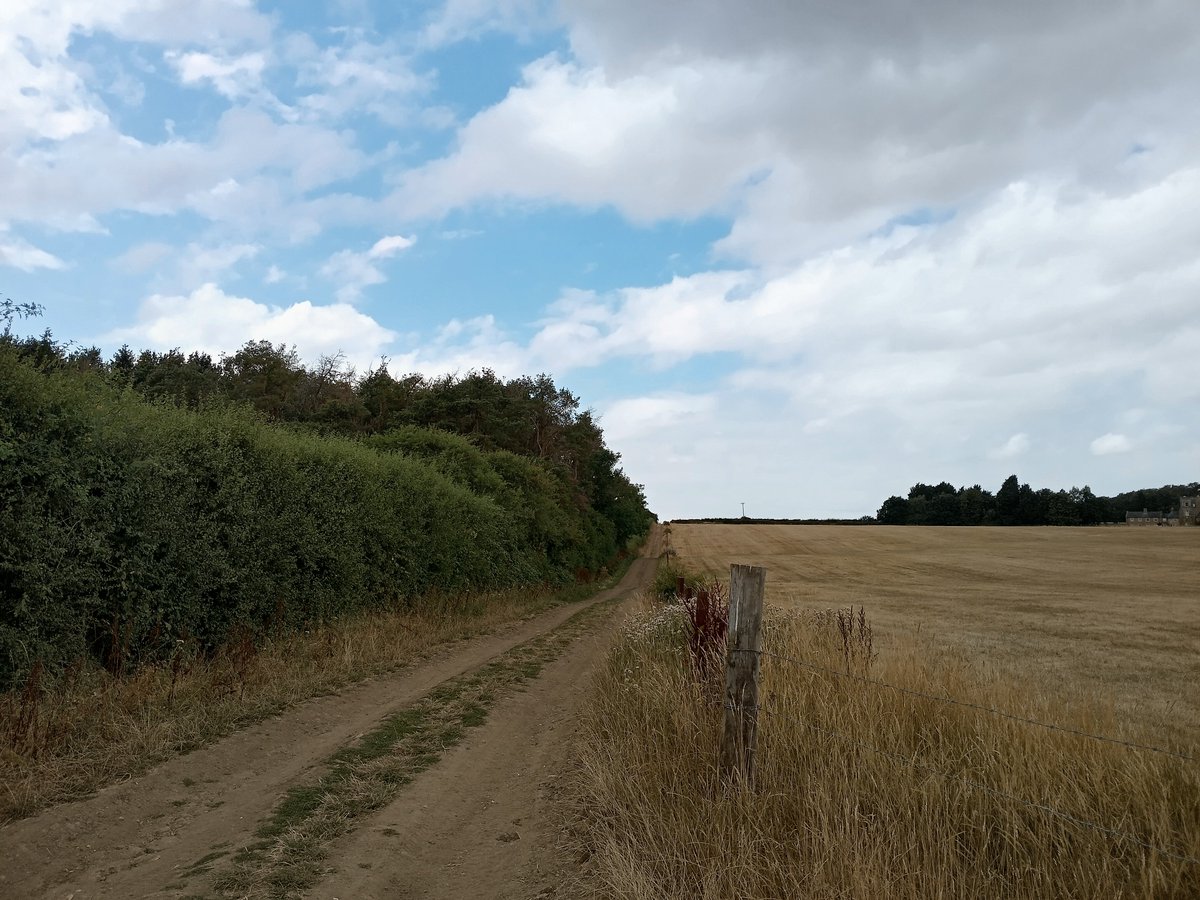 phil0073's tweet photo. The #Lamport2Faxton way by #BanscroftSpinney in summer. #FaxtonFields ,#Northamptonshire .
#PhilOnaBike #FootpathFriday #BywayFriday #clouds https://t.co/QaXk6d4otr