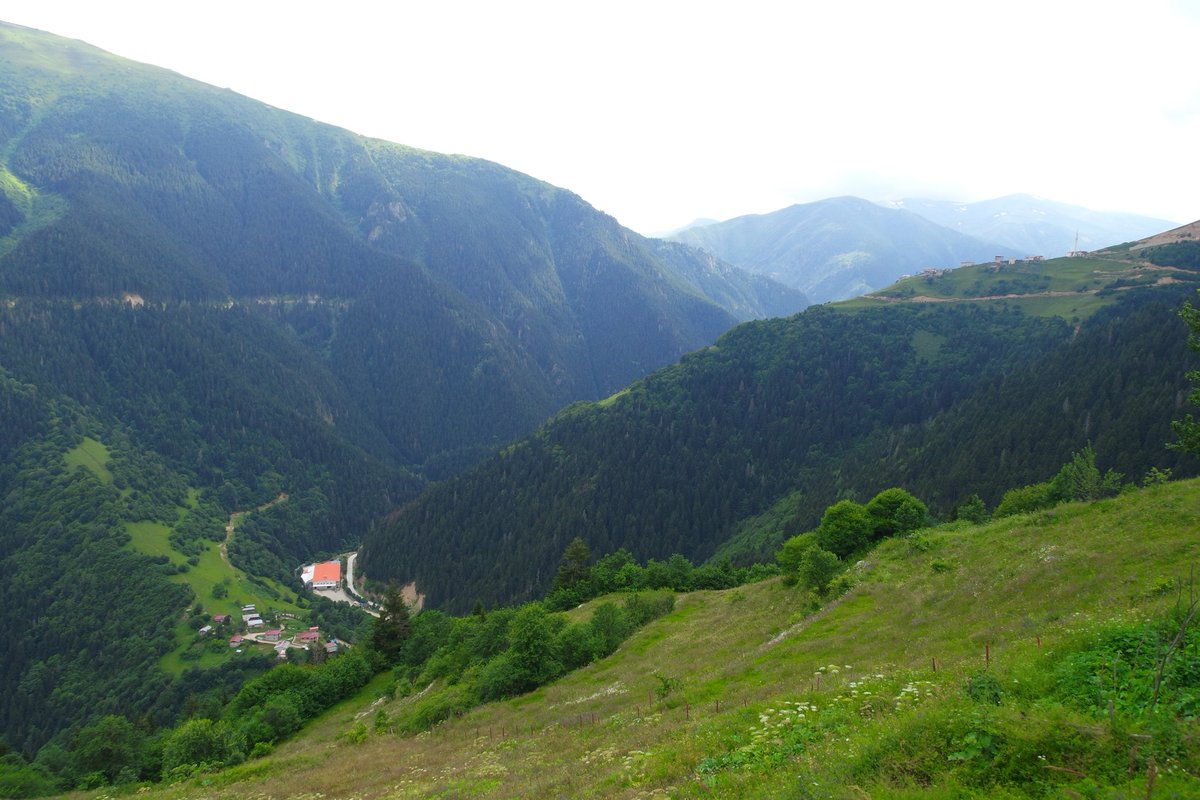 llvuia0's tweet photo. rize

temmuz, 2026 https://t.co/CHkez4CxTq
