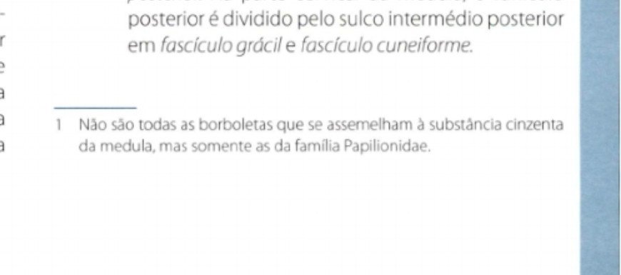 itwasmedi0's tweet photo. @bipolauren A clássica nota de rodapé do Neuroanatomia Funcional kkkkk https://t.co/tcmtVhHT5E