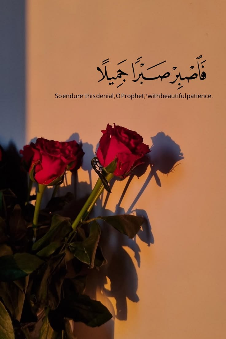 مُطمئِنةَ.! tweet media