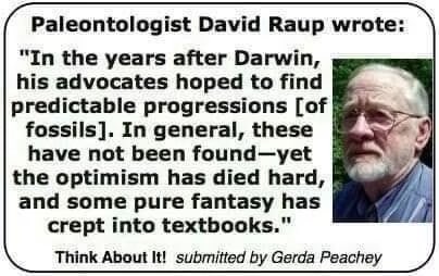 Not Evolution tweet media