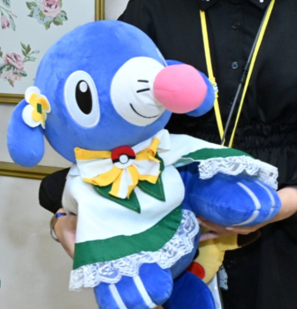nito_wak0's tweet photo. #みんなのポケパーク衣装見せて https://t.co/KU9mCJhNpN