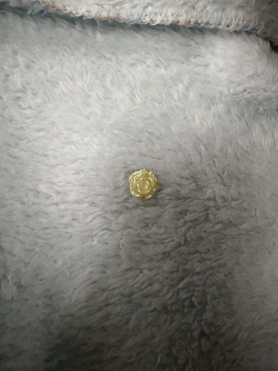 salt____0402's tweet photo. 夜行バスの相棒🐥に📣の名残あって爆笑 https://t.co/66J2hfcsaW