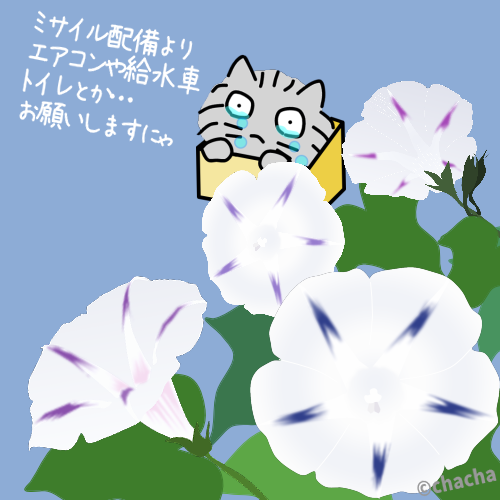 hakoneko0515's tweet photo. 8月1日の誕生花🌺朝顔
花言葉は「固い絆」「結束」
#戦争に反対するお花畑の会 
#ミサイルよりエアコン 
#軍拡より防災
🕊️ Make peace not war
ただいま|*´ｰ`*)ﾉ|Ю ｶﾞﾁｬ https://t.co/ZSvYuYcXK8
