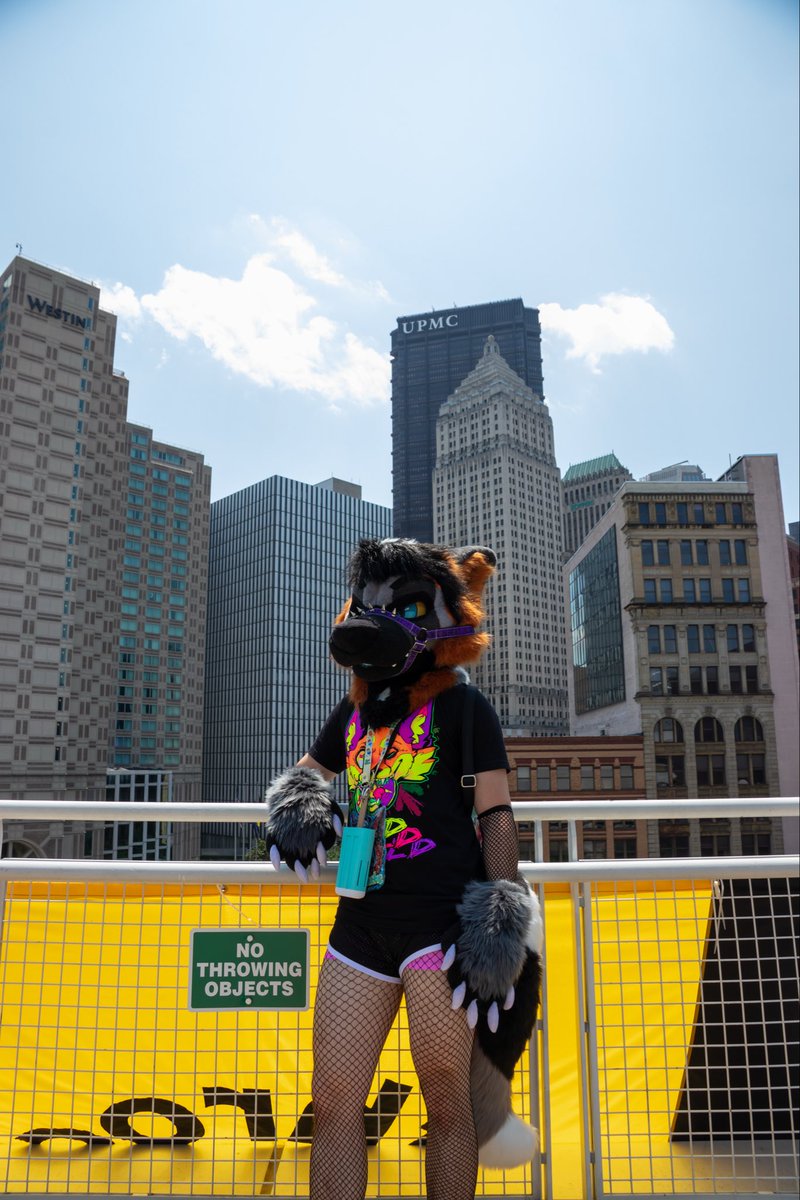 DepacheFoxie's tweet photo. happy #fursuitfriday 😛😛😛

🌆 #ANTHROCON2026 🌆 
📸: Lander Foxx
🪡 goth_cat_creates

#furryfandom #furry #fursuit https://t.co/sSA3wCk5k4