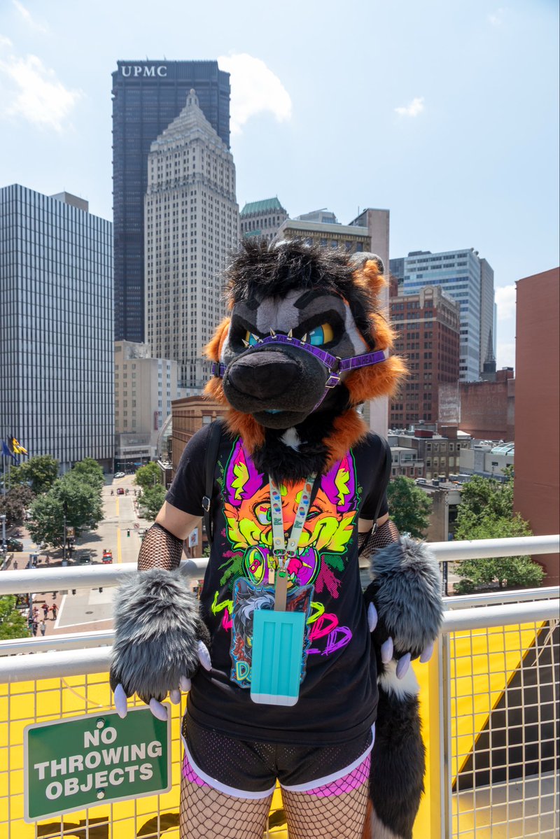 DepacheFoxie's tweet photo. happy #fursuitfriday 😛😛😛

🌆 #ANTHROCON2026 🌆 
📸: Lander Foxx
🪡 goth_cat_creates

#furryfandom #furry #fursuit https://t.co/sSA3wCk5k4