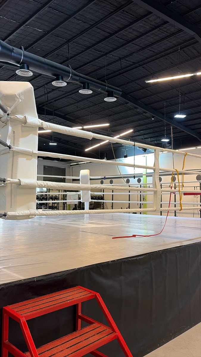 ilxevx's tweet photo. New start 🥊 https://t.co/QvcG6pCBmq