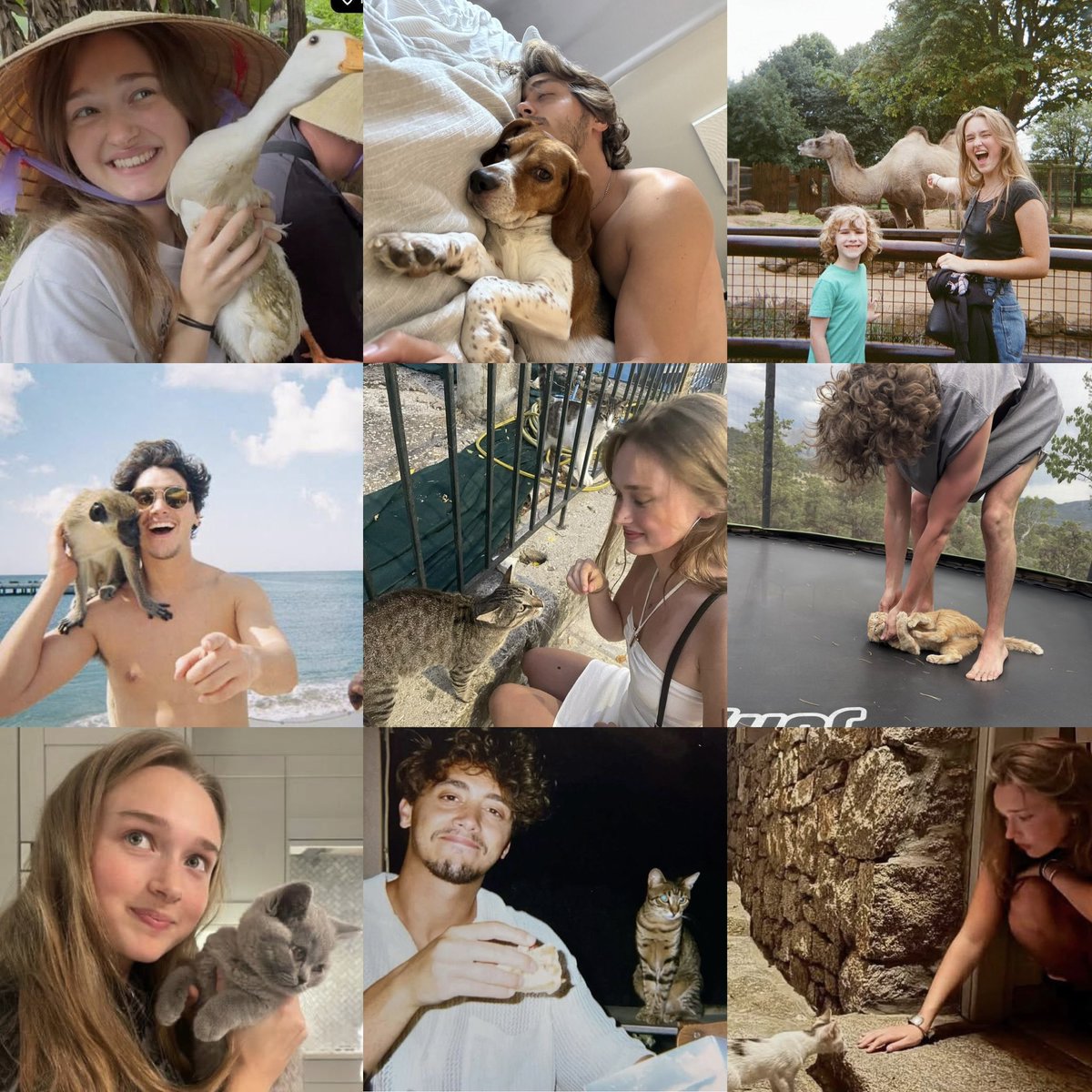 logansafterglow's tweet photo. gracelogan being animal lovers sighhh i miss them https://t.co/7NSTM9yiui