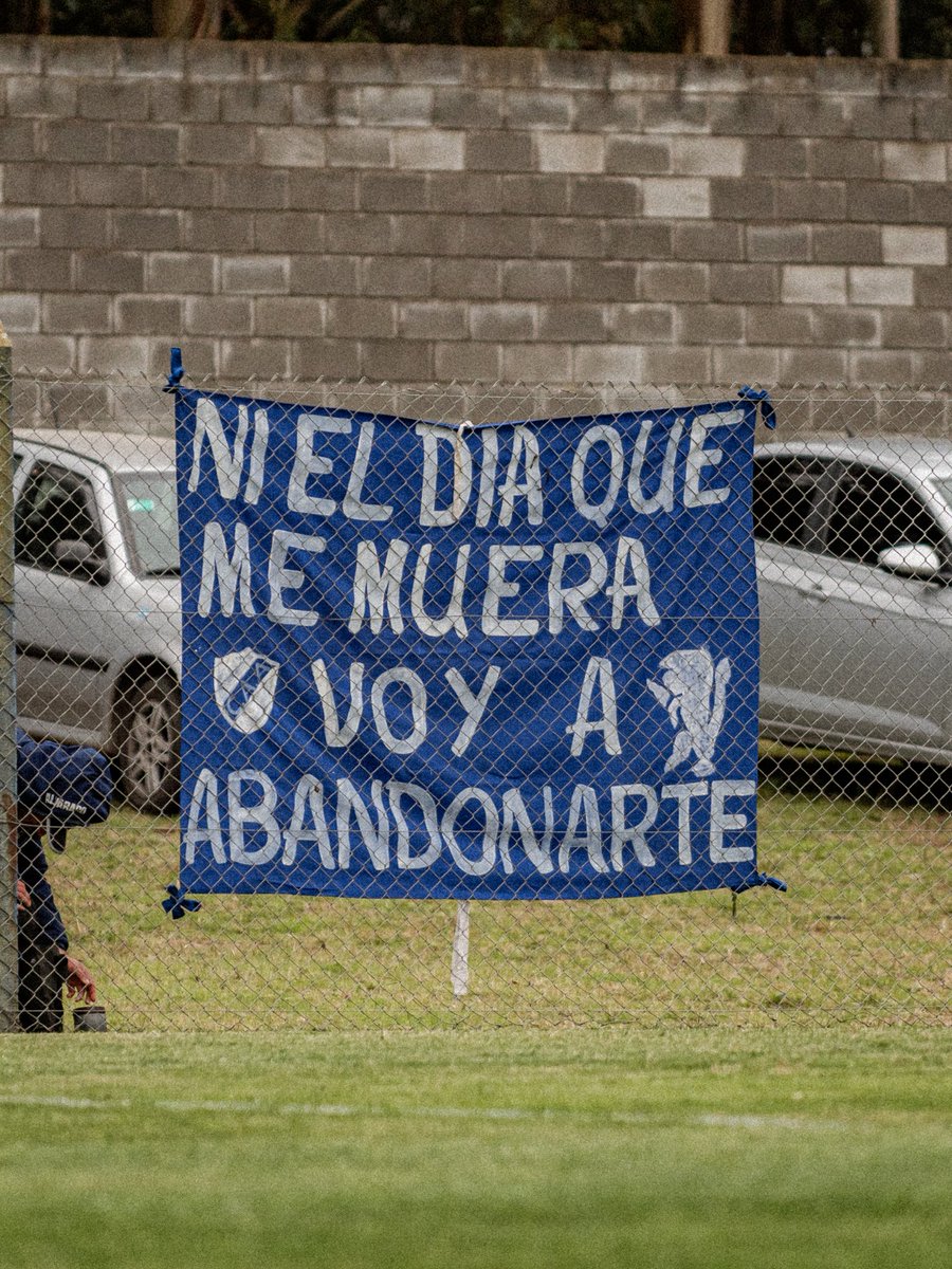 ClubAlvaOficial's tweet photo. En las buenas, en las malas y en todas las que vengan. 💙🐂

#HaceteSocio https://t.co/bHJPoozqhx