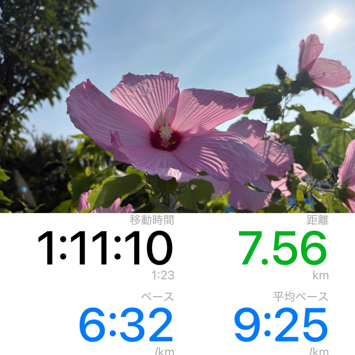 maya2761's tweet photo. 🚶‍♀️＆🏃‍♀️💦 ☀️☀️☀️
風が少しあって涼しめであった。 https://t.co/MQNVDlFScd