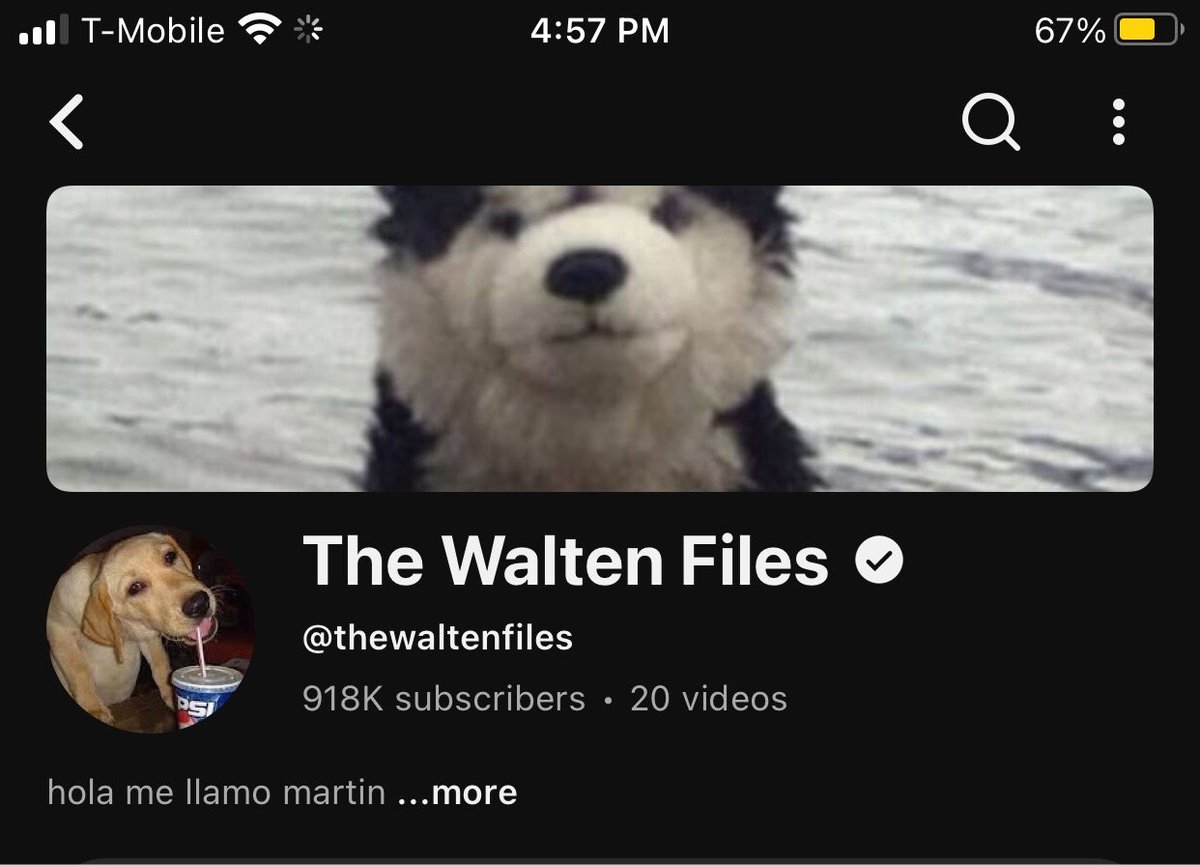 waltenfilesALL's tweet photo. In just one month https://t.co/cesUmd4cyh