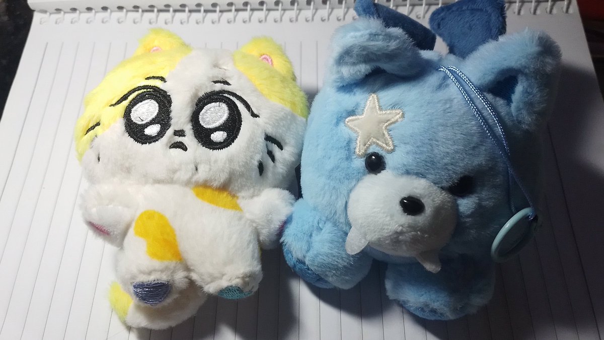 bIindwon's tweet photo. aquisições das jungwon variantes no mundinho bIindwon https://t.co/jSKxAb7zP6