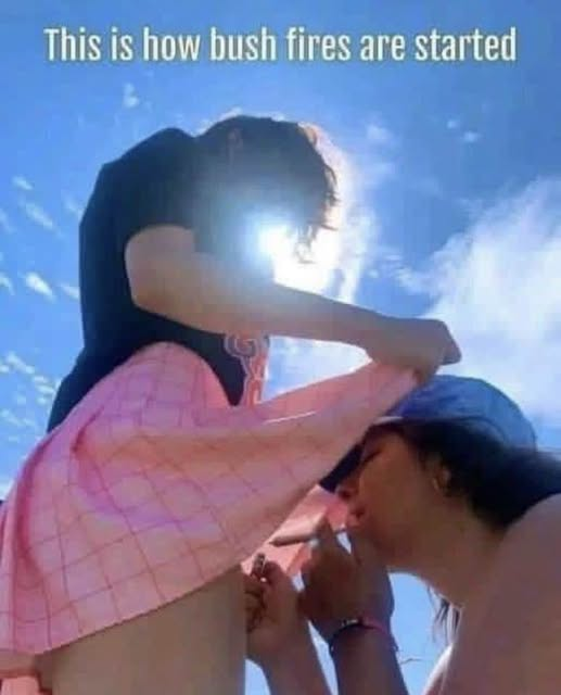 69ketsu's tweet photo. @belladoona_ https://t.co/wvEPl6JwrK