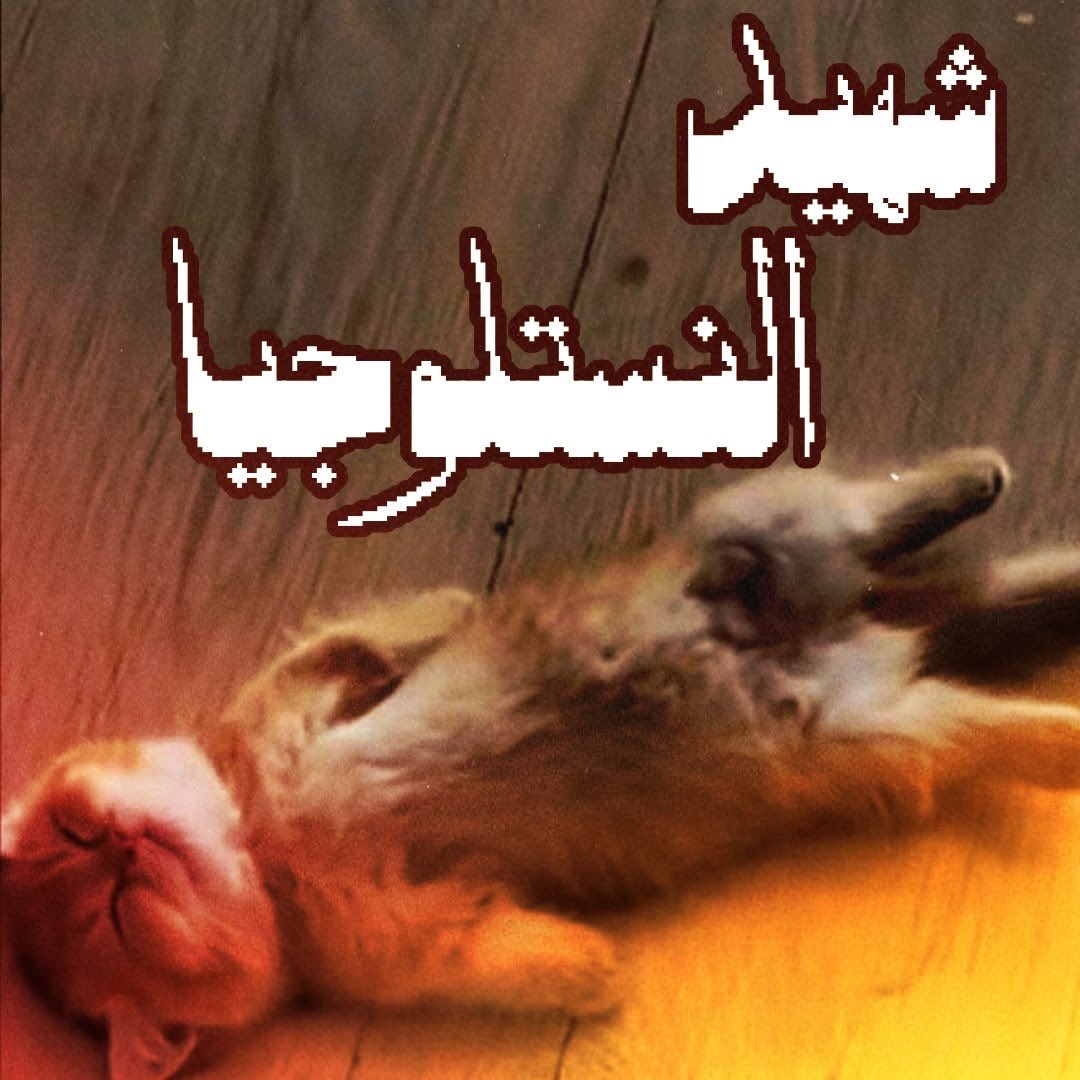 llosthoney's tweet photo. هذي انا https://t.co/rpq19mSCG8