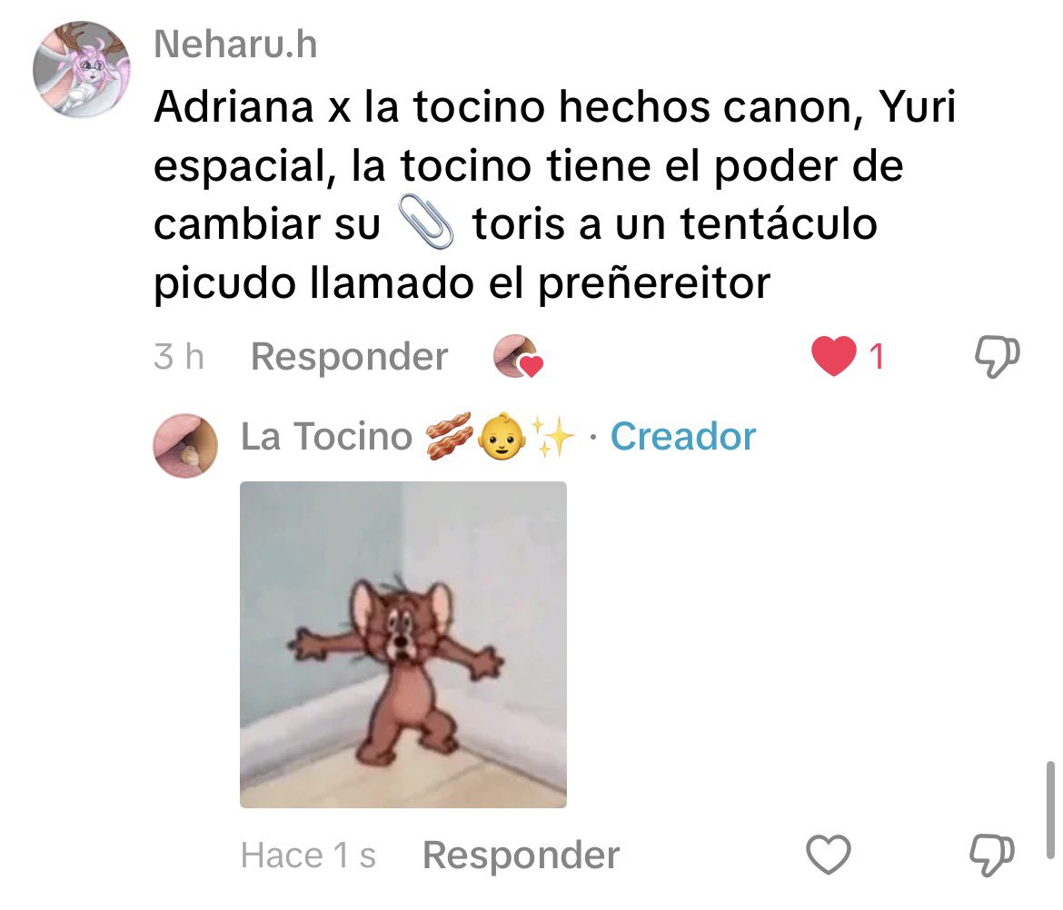 la tocinΩ 🥓 tweet media