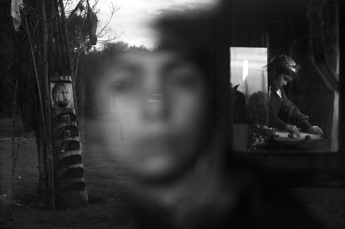 Gatopardocom's tweet photo. Esta es la historia de Millaray Huichalaf, la líder espiritual más carismática del pueblo mapuche. 

Producto de años de convivencia con Millaray y su círculo íntimo, esta crónica lo cuenta todo: sus pesadillas de infancia, el proceso para transformarse en machi (líder), los meses en una cárcel de máxima seguridad y un presente trágico. Conocerla es comprender el lugar en el mundo —místico y terrenal— que ocupa por derecho propio la nación mapuche. 

Bienvenidos al universo de la mujer que levantó a más de 120 comunidades en el sur chileno para defender un río amenazado por un proyecto hidroeléctrico noruego.

Texto de Maxi Goldschmidt. Fotografías de Pablo E. Piovano.
https://t.co/2Ycwhbs3Pm
