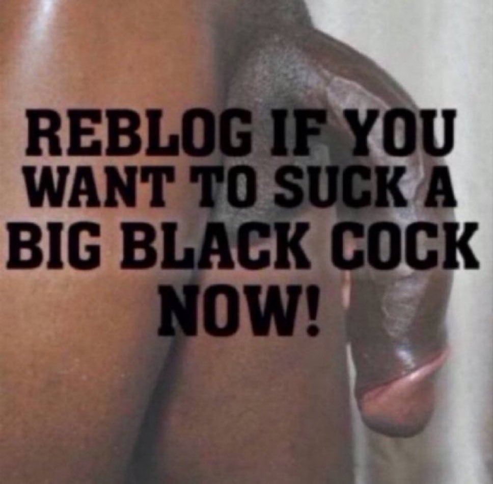 ObeytheBBC's tweet photo. Reblog if you crave to suck a superior #BigBlackCock 🖤 https://t.co/beVsUeYXoZ