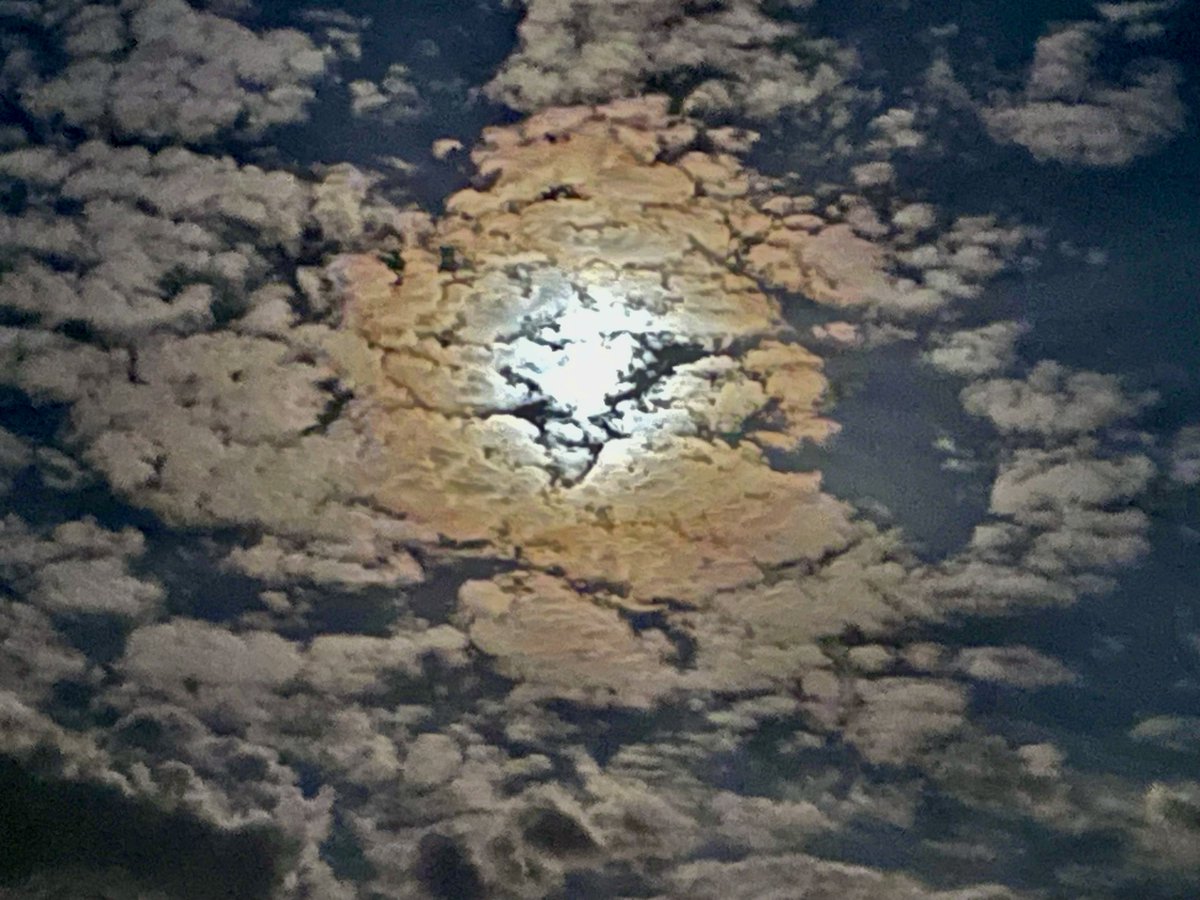 Kuhn3Rene's tweet photo. Měsíc v peřinách..
#mobilephoto https://t.co/z2zEqh3HWg