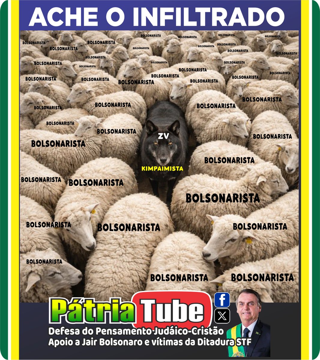 Pátria Tube tweet media