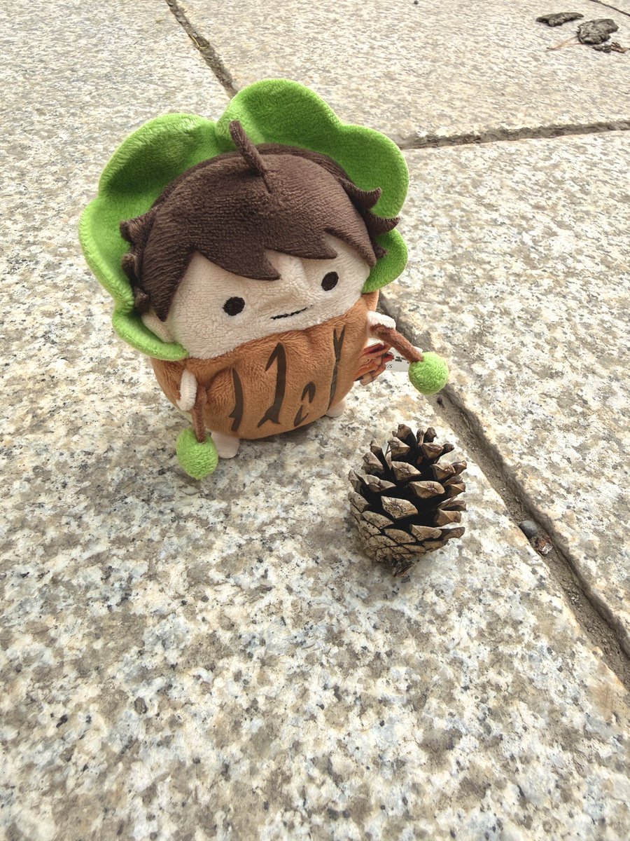 gyisorock's tweet photo. \ｺﾝﾆﾁﾜ!/ https://t.co/Ckeqa0p1if