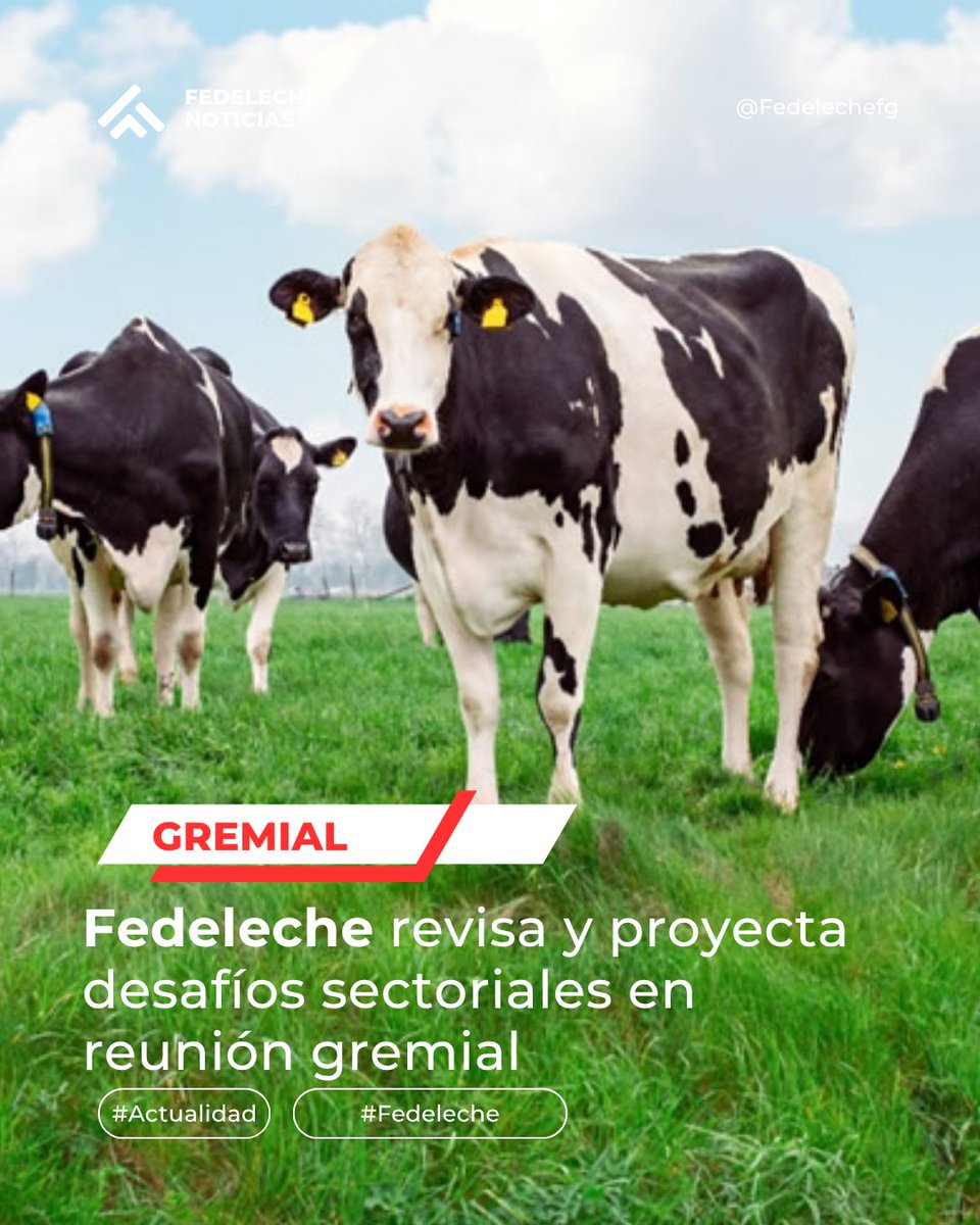 FedelecheFG's tweet photo. #País🇨🇱 Gremio proyecta oportunidades en la recuperación del consumo y el dinamismo exportador, pero advierte sobre presiones laborales y de mercado
Nota completa https://t.co/2KmoMGp9aE 📱
👉 https://t.co/ba3W26KgJU
#leche #lecheros #lechechilena #lechesustentable #fedeleche https://t.co/FqxY7wk154