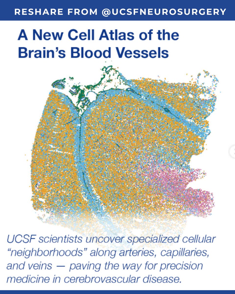TAAF's tweet photo. Congratulations to @EthanWinklerMD and the Winkler Lab on today's Cell publication. A major step forward for brain aneurysm, AVM, stroke, and cerebrovascular research.

Shared with permission from @UCSFneurosurgery https://t.co/52QbEYrwwS