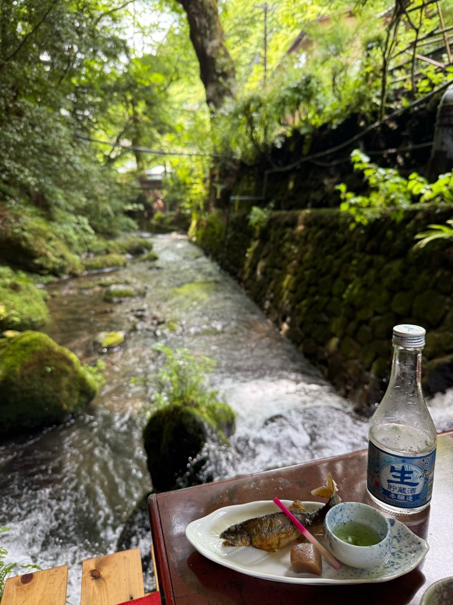 sayakaaa0312's tweet photo. 京都暑いけど貴船の川床は最高
こんなところで飲むお酒美味しさ10倍は増す

予約時に、コースで量多いから朝ごはんは食べないようにって念を押されたんだけど、ご飯足りなくててデザート食べに行ってしもうた https://t.co/ncGwPooTG1