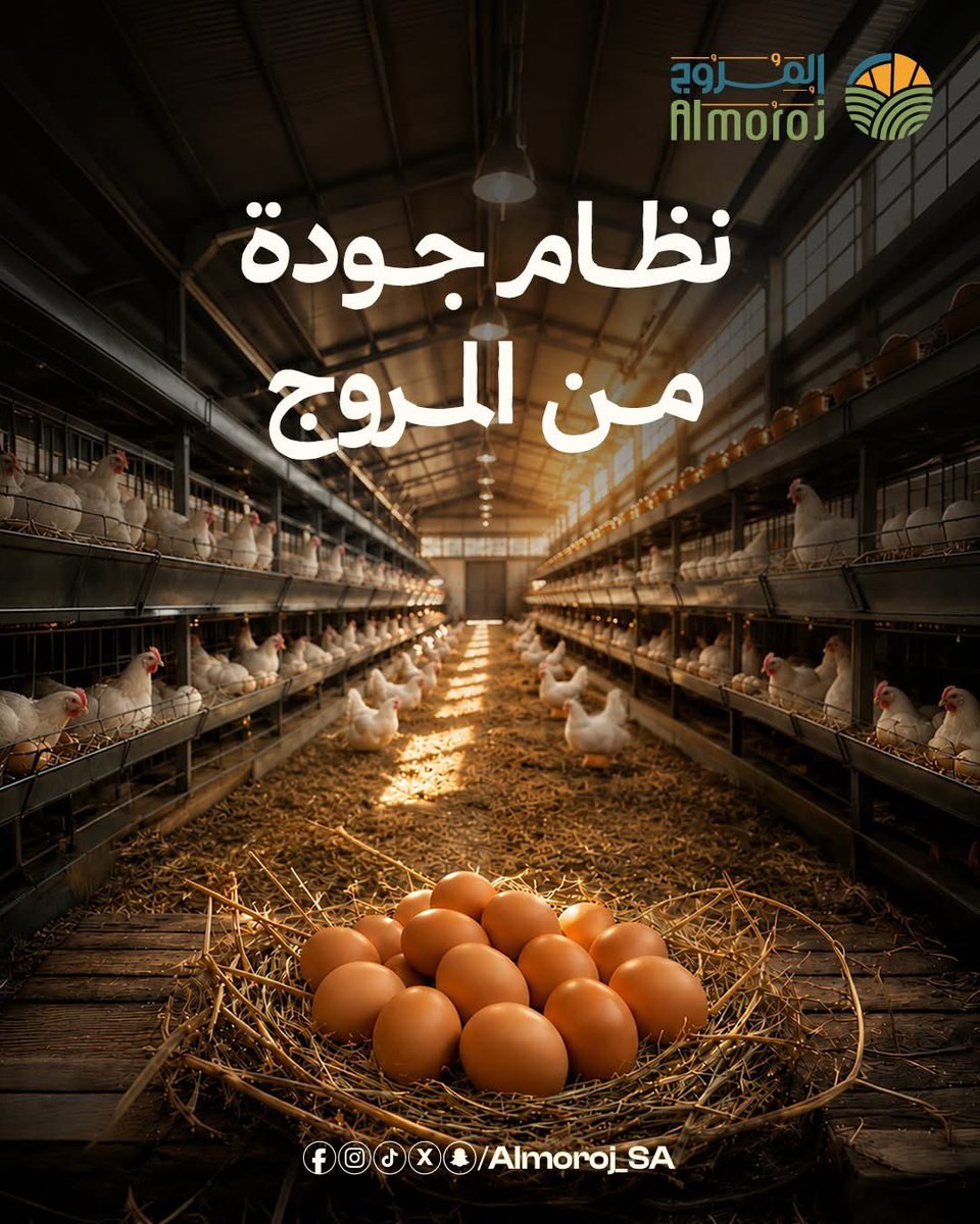 Almoroj_SA's tweet photo. الفرق بين شركات الإنتاج ما هو في المنتج النهائي فقط، بل في النظام اللي وراه.

 طريقة التشغيل، جودة التغذية، مستوى الرقابة، كلها عوامل تحدد إذا المنتج ثابت الجودة أو لا.

 وهذا الفرق الحقيقي اللي يهم المستهلك الواعي، في المروج كل شيء بنمر بيه هدفه واحد وهو انك تكون مستفيد. https://t.co/YoLJ5P7i6t