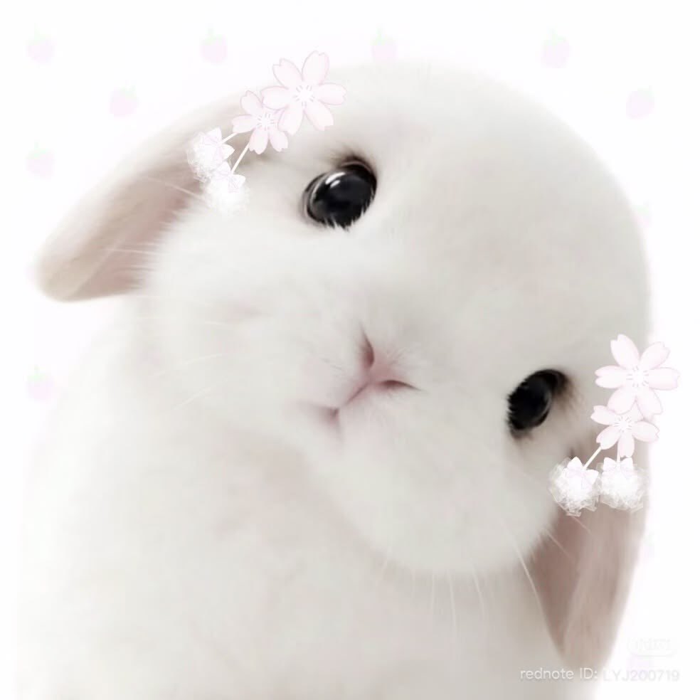 krackprincess's tweet photo. 🌷 https://t.co/Yj7l60JNJ2