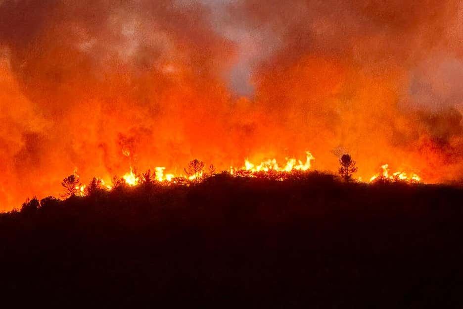 InfosFrancaises's tweet photo. 🔥 FEUX DE FORÊT : Le Var fait face actuellement à un type de feu "qui défie l'entendement", annonce le préfet. Le village de Montfort-sur-Argens est entouré par des flammes de 25 mètres de haut. https://t.co/6wA5Z094pd