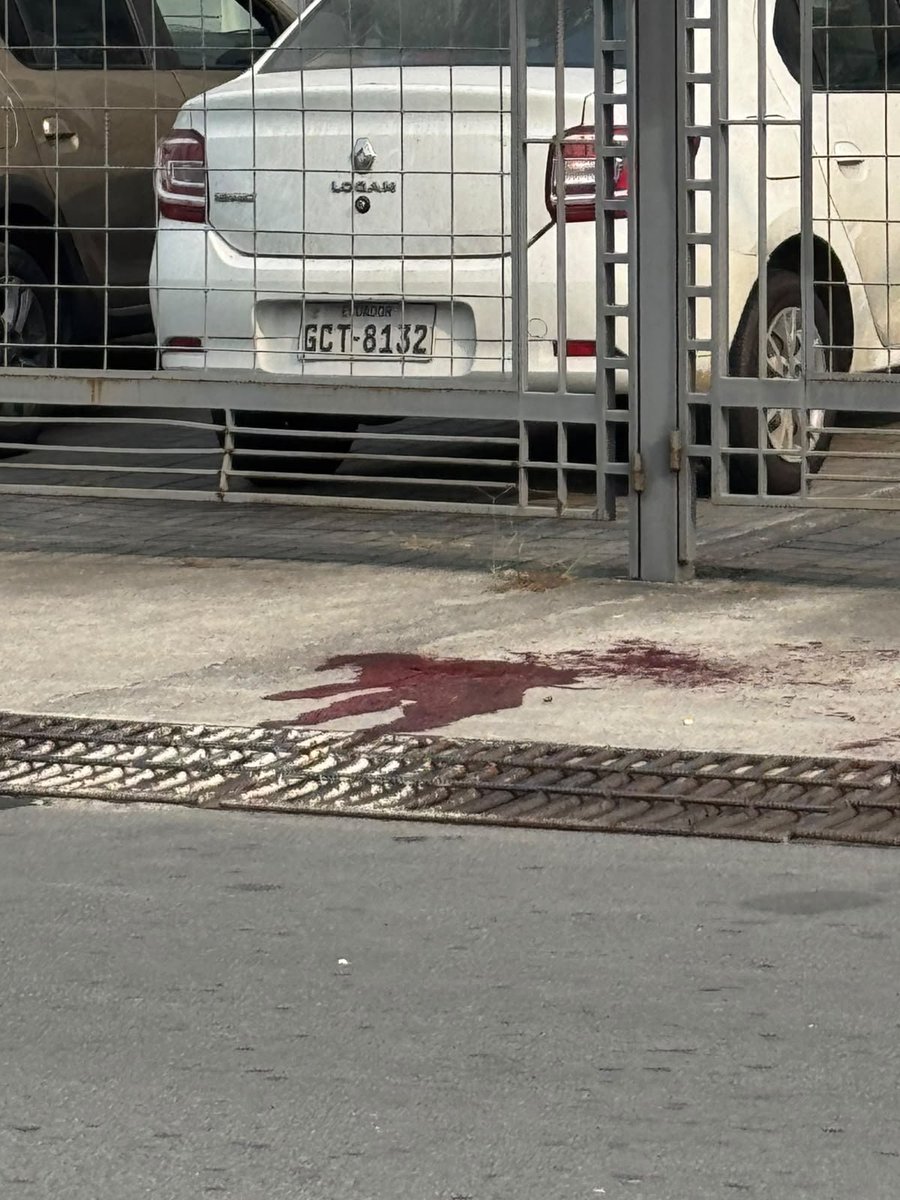 EmergenciasEc's tweet photo. Terrible!!!
Se reporta una persona baleada dentro de Puerto Azul. https://t.co/o6onlvkEpJ