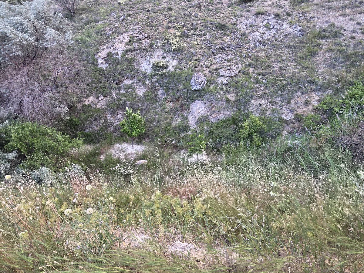 illeezlevent's tweet photo. Heybe'nin Gözünden Avanos 
Çoban Deresi .. (İbrahim yalınız) https://t.co/JabvFS13un