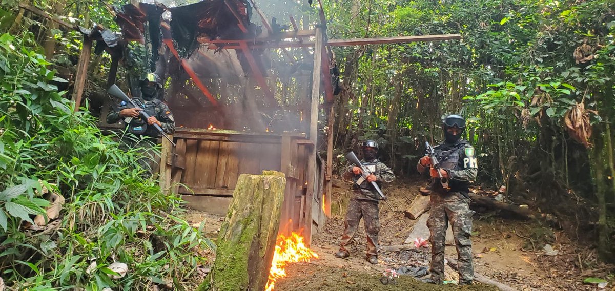 FFAAHN's tweet photo. #OperacionesFFAA || Más de 22 mil arbustos de hoja de coca fueron erradicados e incinerados por las #FFAA, a través de la @PMOPHN durante dos operaciones ejecutadas en el departamento de Yoro, logrando además la destrucción de una estructura artesanal utilizada presuntamente para el procesamiento de pasta base de cocaína.
Las acciones, desarrolladas en coordinación con el Ministerio Público, permitieron intervenir aproximadamente cuatro manzanas de cultivos ilícitos, como parte de las operaciones permanentes orientadas a combatir el narcotráfico.
Con estas operaciones, las #FFAA reafirman su compromiso de combatir el narcotráfico, debilitar las estructuras del crimen organizado y contribuir a la seguridad de la población hondureña.
#FuerzasArmadasHN